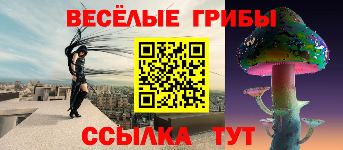 где купить наркотик  Галлюциногенные грибы прущие грибы  Вход с VPN  Майский 