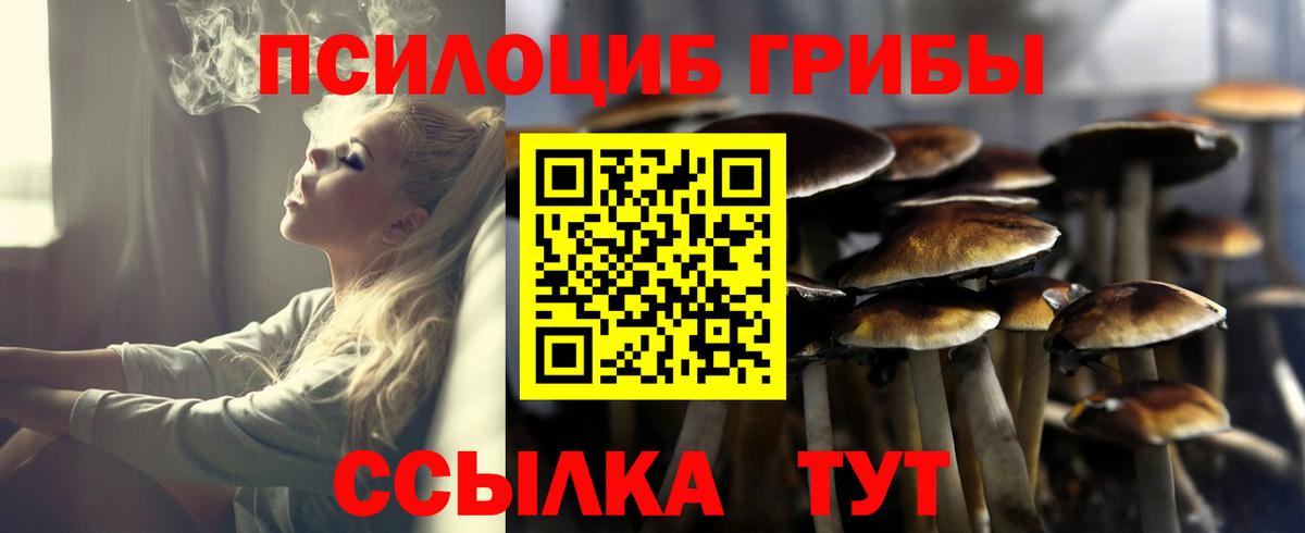 Галлюциногенные грибы прущие грибы Майский